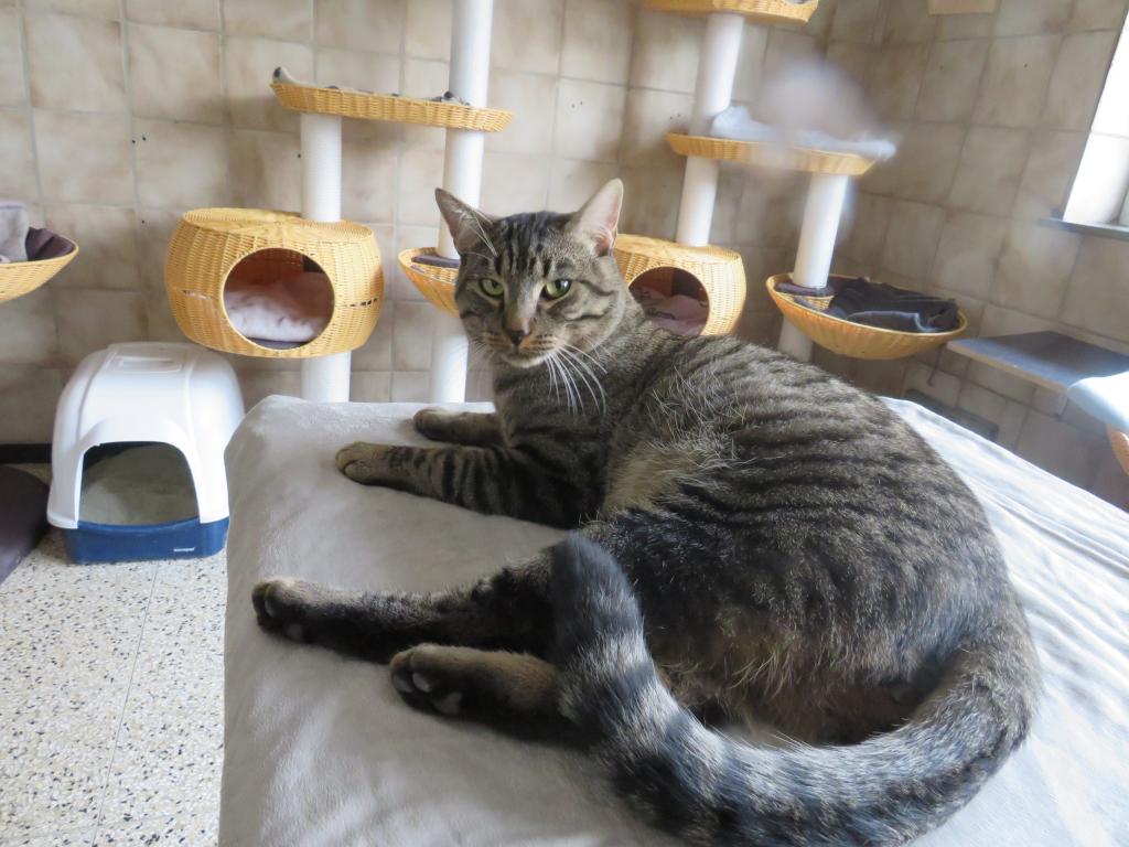 harald-tierheim-bad-kreuznach